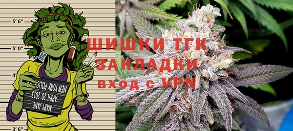 стаф Алексин