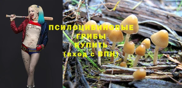 трава Армянск