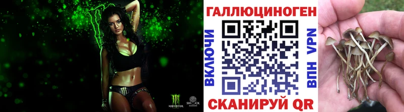 что такое наркотик Ахтубинск Псилоцибиновые грибы Magic Shrooms
